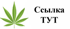 Купить наркотики в Новокузнецке